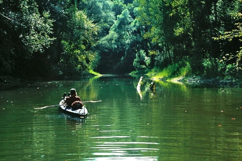 Trip 2: Explore Danube wilderness: